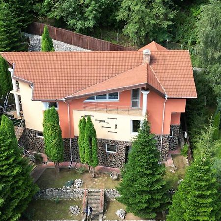 Marble Villa: Luxury Estate - Central But Intimate سِنايا المظهر الخارجي الصورة